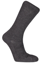 True Ankle Sock
